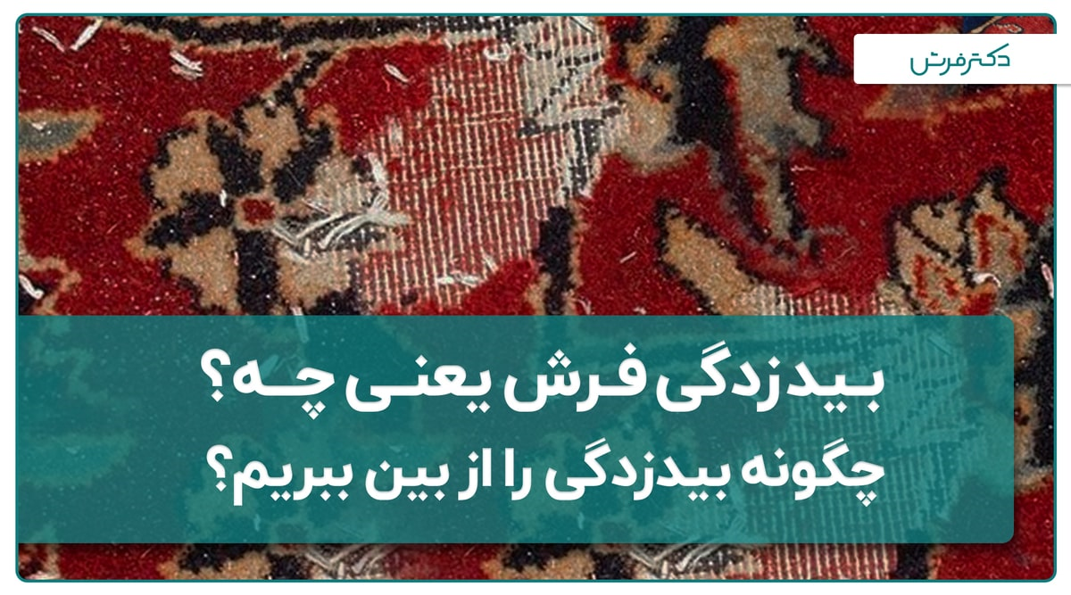 بید زدگی فرش یعنی چه؟ چگونه بید زدگی را از بین ببریم؟
