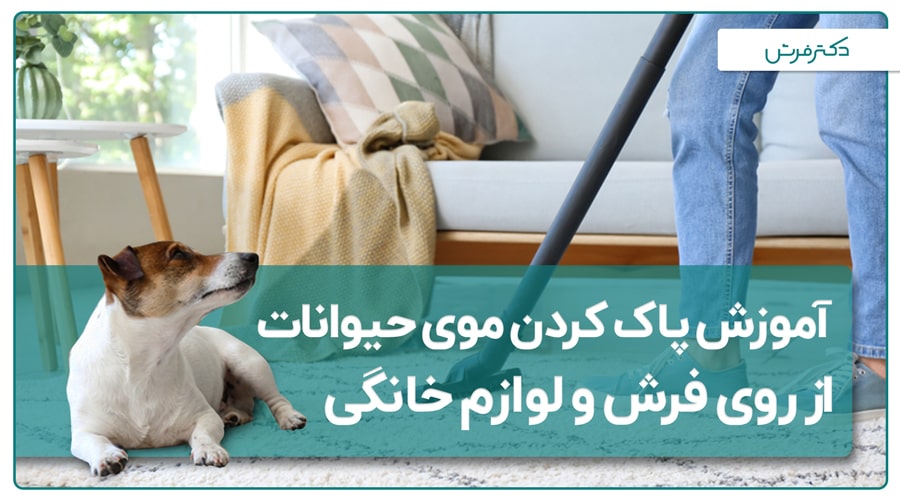 آموزش پاک کردن موی حیوانات از روی فرش و لوازم خانگی
