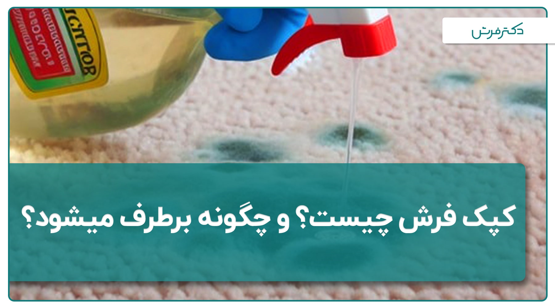 کپک فرش چیست؟ بررسی راه های از بین بردن کپک فرش